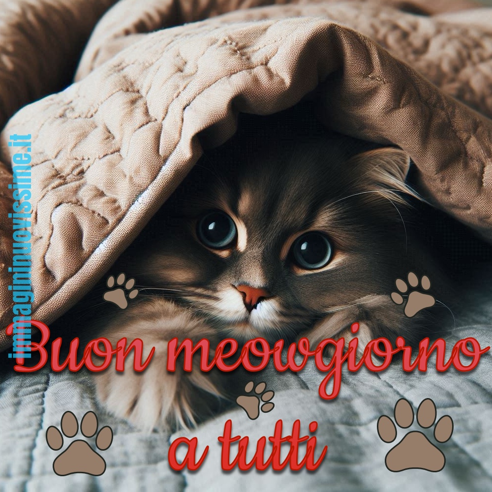 Buon meowgiorno a tutti