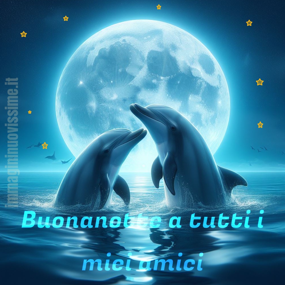 Buonanotte a tutti i miei amici (delfini)