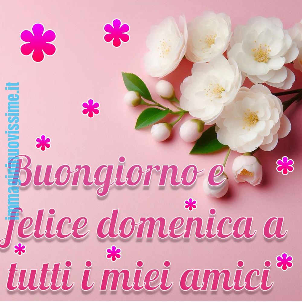 Buongiorno e felice buona domenica a tutti i miei amici