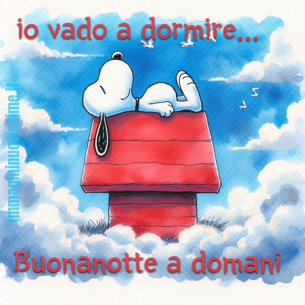 Io vado a dormire buonanotte a domani