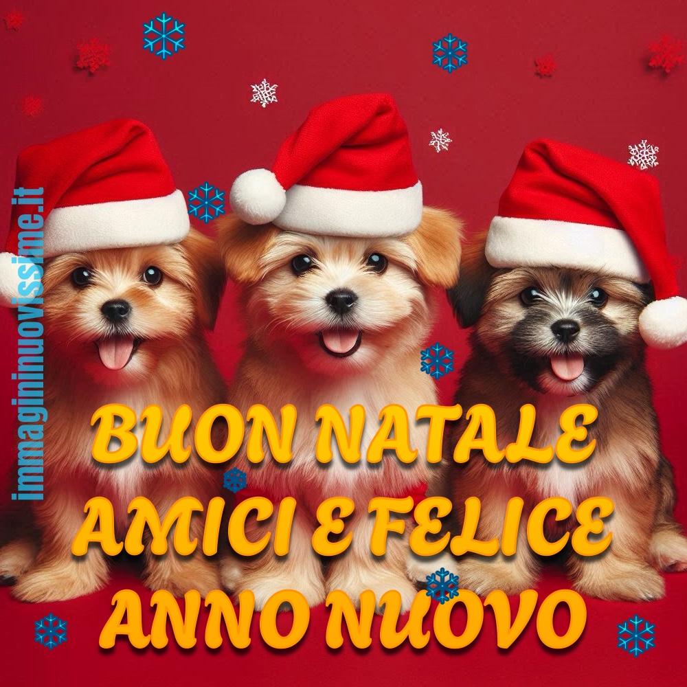 Buon Natale amici e felice anno nuovo