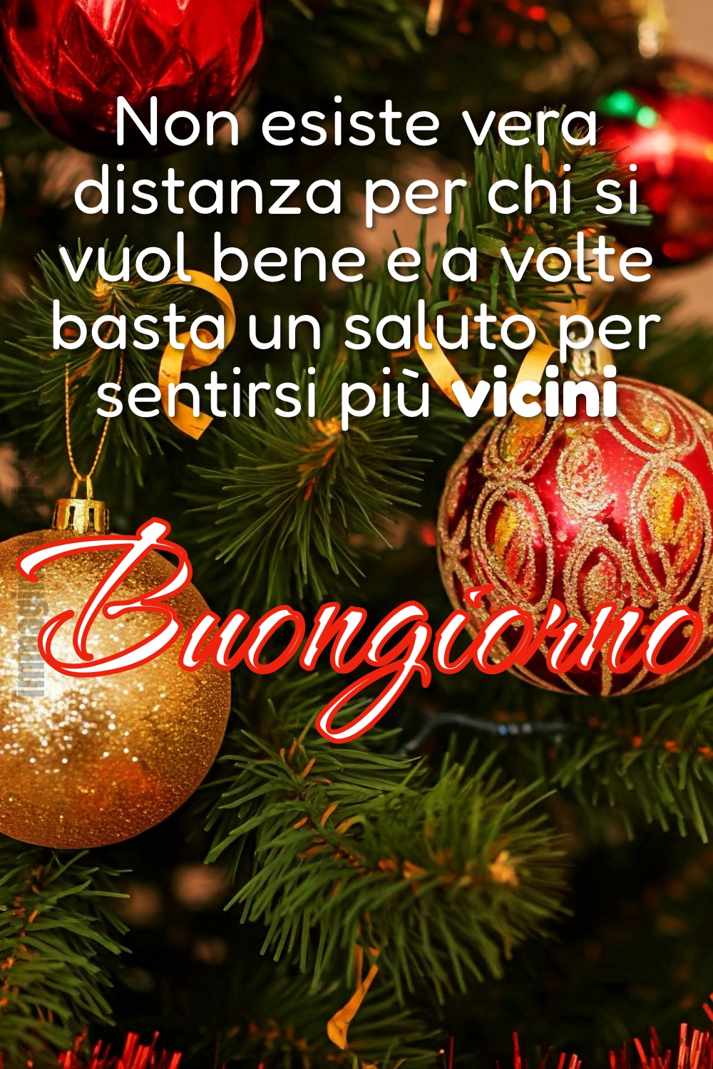 Buongiorno con una frase ed un albero natalizio